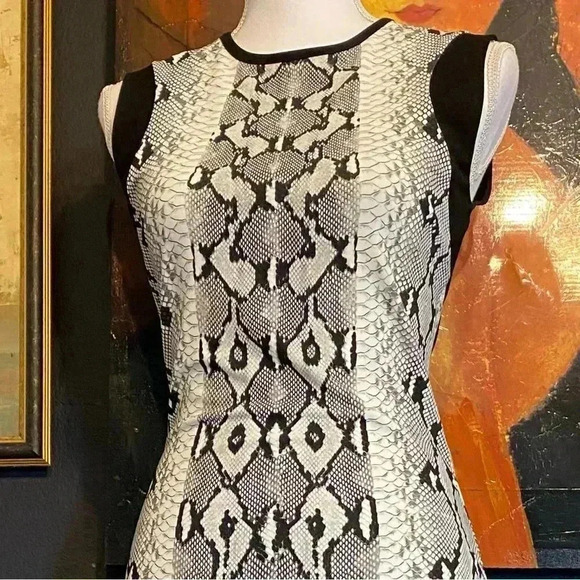 Roberto Cavalli Snake Print Sheath Midi Dress Stretch Office Siren Boardroom - Picture 5 of 15